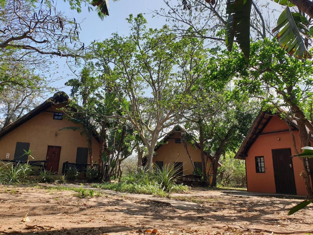 Pumusa Bushcamp Hluhluwe Εξωτερικό φωτογραφία