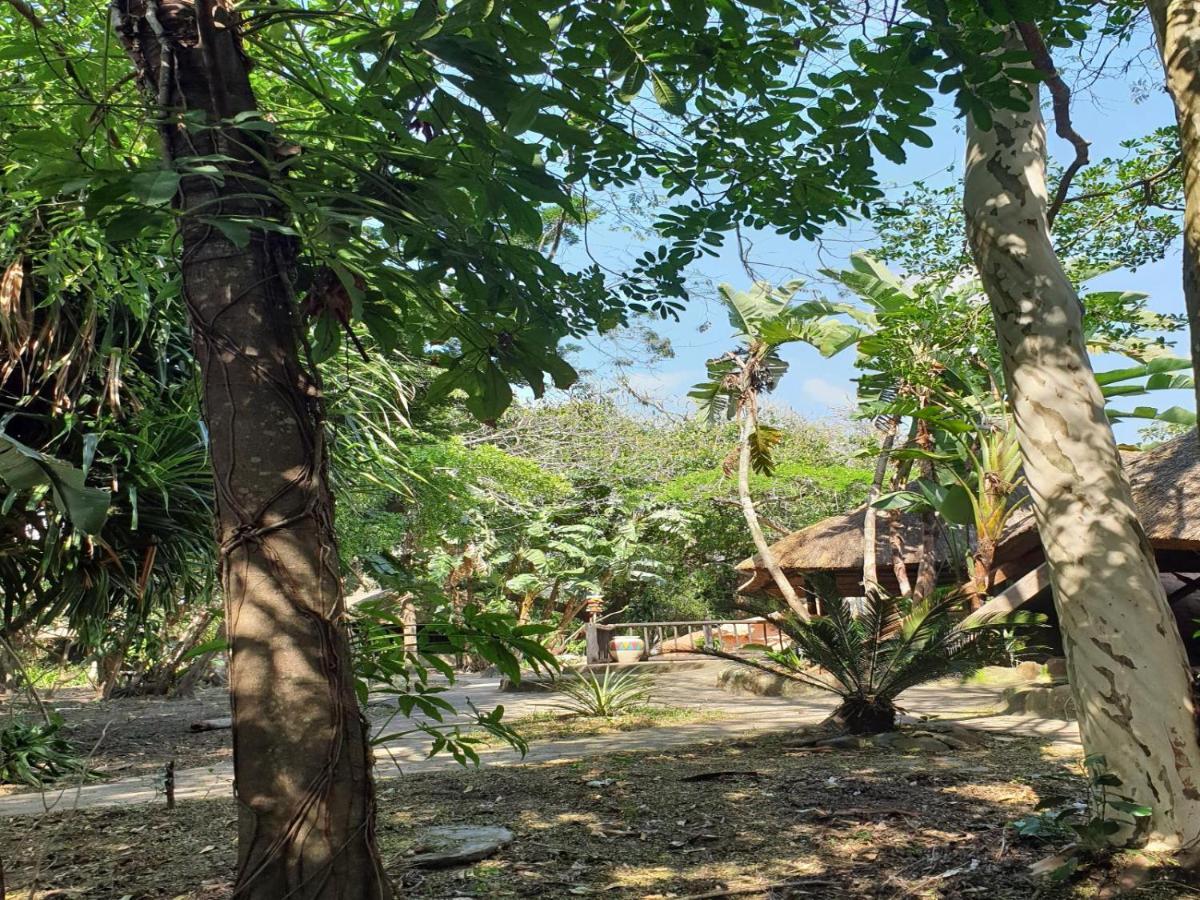 Pumusa Bushcamp Hluhluwe Εξωτερικό φωτογραφία