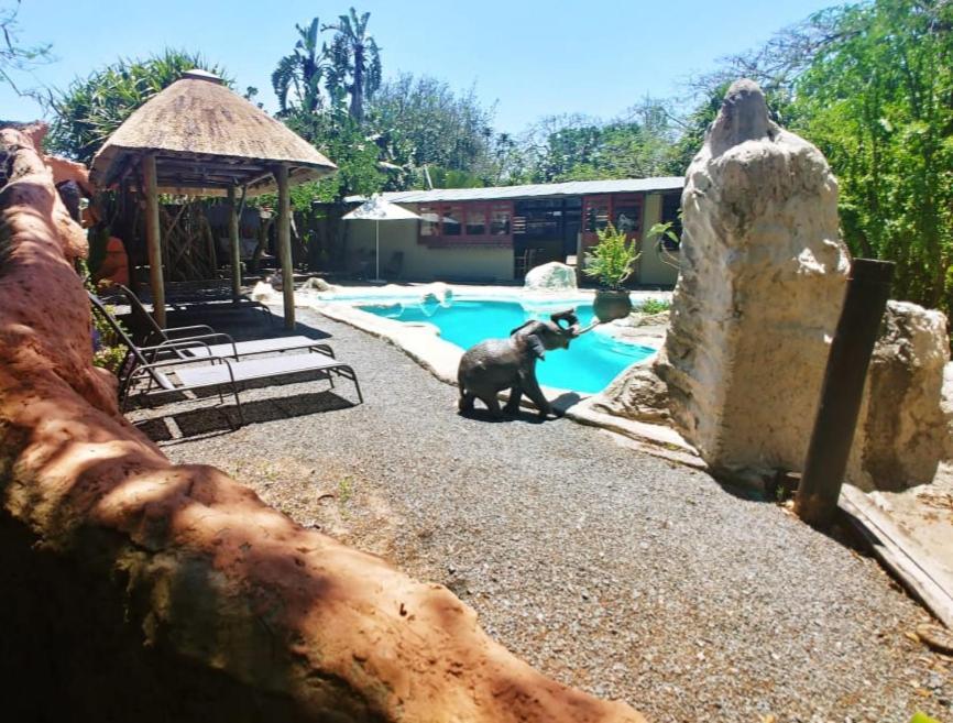 Pumusa Bushcamp Hluhluwe Εξωτερικό φωτογραφία