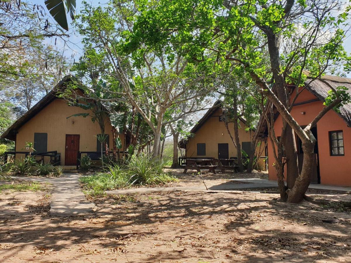 Pumusa Bushcamp Hluhluwe Εξωτερικό φωτογραφία